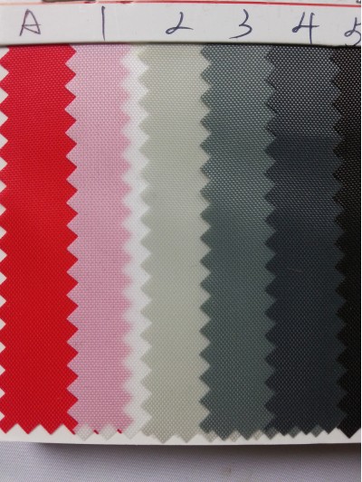 DG-BICG  BC-2101 尼龍   背囊面料 側面照